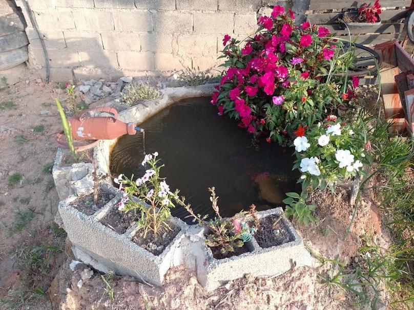 Hostal Chácara Chiafarelli São Roque Exterior foto
